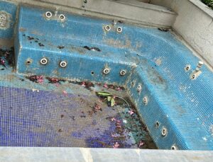 whatsapp image 2025 08 30 at 09.58.53 (1)