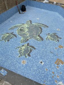 whatsapp image 2025 08 30 at 09.58.54